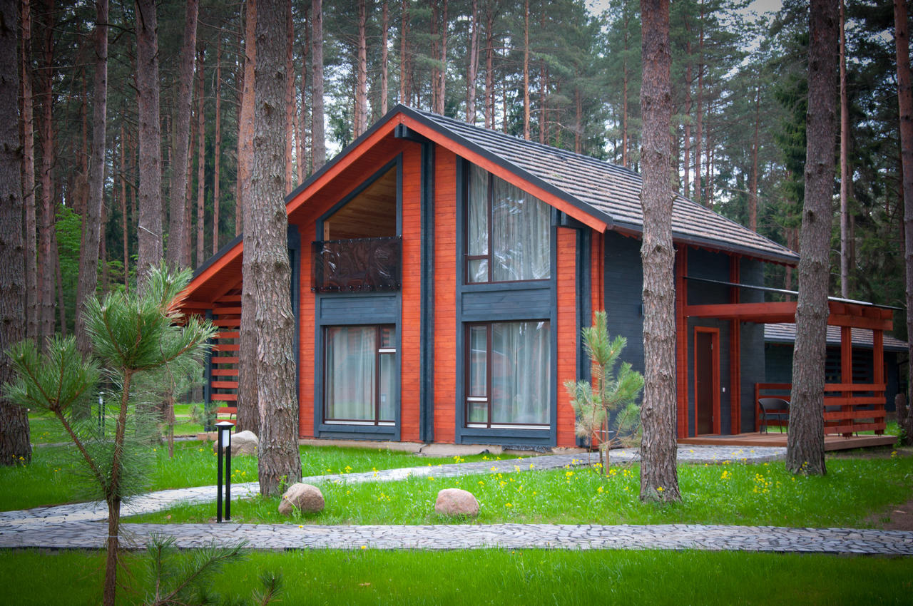 Шишки Zagorshchyna Kamer foto